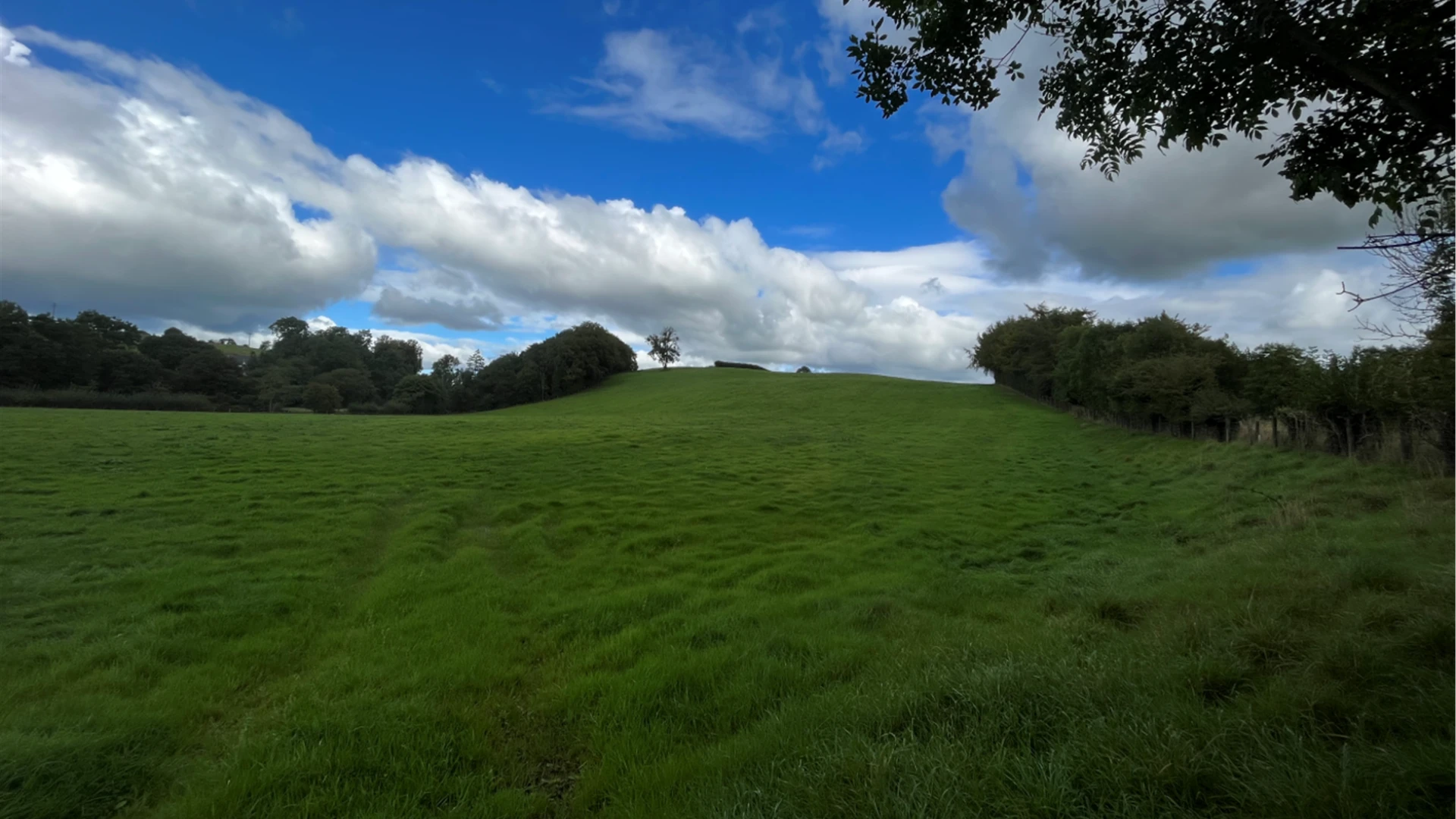 Ballagh Road / Kell Road